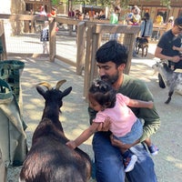 Photo taken at Happy Hollow Park &amp;amp; Zoo by Saumya S. on 6/18/2022