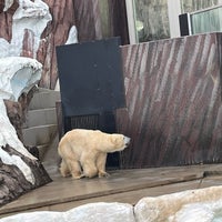 Photo taken at Polar Bear &amp;amp; Seal Oceans by Sq P. on 12/9/2023