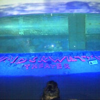 Photo taken at Underwater Theater (Ocean Dream Samudra) by Deysi Merry M. on 11/2/2013