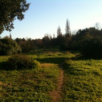 Photo taken at Parco Della Massimilla by Federico U. on 12/30/2012