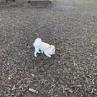 Photo taken at Fort Greene Dog Park by Tamara P. on 3/16/2019