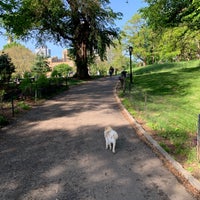Photo taken at Fort Greene Dog Park by Tamara P. on 5/18/2019