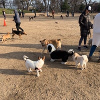 Photo taken at Fort Greene Dog Park by Tamara P. on 3/30/2019