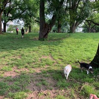 Photo taken at Fort Greene Dog Park by Tamara P. on 6/1/2019