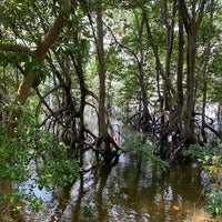 Photo taken at Sungei Buloh Wetland Reserve by Dean K. on 4/2/2022