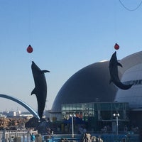 Photo taken at Port of Nagoya Public Aquarium by チラ見 on 10/18/2015