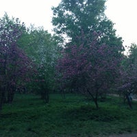 Photo taken at Berezovaya Roshcha Park by Annienie on 5/13/2013