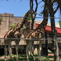 Photo taken at MillerCoors Giraffe Experience by Johnathan on 7/12/2019