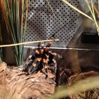 Photo taken at Spiders Alive by Luiza T. on 11/1/2012