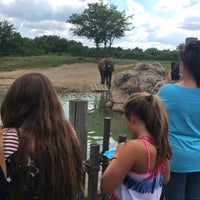 Photo taken at Elephants by Troy B. on 8/7/2016