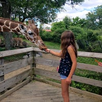 Photo taken at The Giraffe Exhibit by Troy B. on 8/7/2016