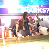 Photo taken at Shark  Exhibit by Troy B. on 8/7/2016
