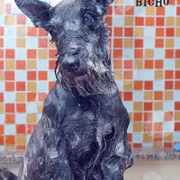 Photo prise au Bolicho do Bicho Pet Store par Bolicho do Bicho Pet Store le4/14/2014