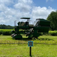 Снимок сделан в Charleston Tea Plantation пользователем Paulette B. 5/24/2022