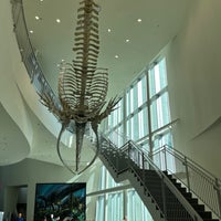 Foto diambil di University of Alaska Museum of the North oleh Paulette B. pada 8/11/2022