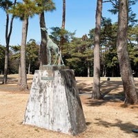 紫カントリークラブ すみれコース 野田市 千葉県