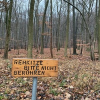 Foto scattata a Pötzleinsdorfer Schlosspark da Alex D. il 1/3/2021