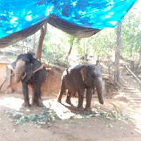 Photo taken at Sahakari Spice Farm by Evgenia O. on 2/5/2017