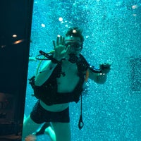 Photo taken at Nemo33 by Laura D. on 4/29/2019
