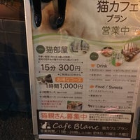 猫カフェ ブラン Pet Service In 青葉区