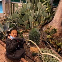 12/4/2021에 miss wang W.님이 Lewis Ginter Botanical Garden에서 찍은 사진