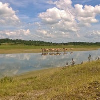 Photo taken at Parc du Marquenterre by Michel A. on 8/14/2017