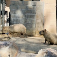 Das Foto wurde bei Happy Hollow Park &amp;amp; Zoo von Ammie H. am 5/5/2024 aufgenommen