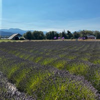 Photo taken at B&amp;amp;B Family Lavender Farm by Ammie H. on 9/2/2022