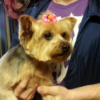 Photo taken at Reliable Grooming by Jetaime M. on 4/14/2014