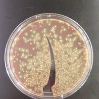 Photo taken at Laboratorio de Microbiología y Bioquímica. by Mariana on 1/25/2016