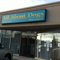 Photo taken at All About Dogs by Debbie B. on 11/3/2012