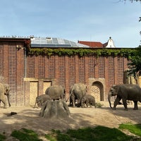 Photo taken at Zoo Leipzig by Ivan K. on 9/19/2023