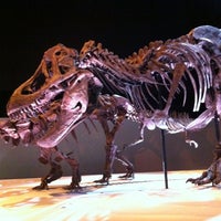 Foto tirada no(a) Houston Museum of Natural Science por Karin H. em 11/15/2012
