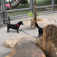 Photo taken at River Place Dog Park by Aaron W. on 9/3/2020
