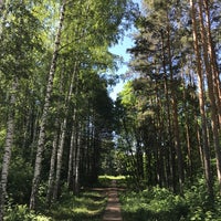 Photo taken at Парк им. лесовода Георгия Рутто by Станислав on 6/5/2021