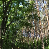 Photo taken at Парк им. лесовода Георгия Рутто by Станислав on 6/5/2021