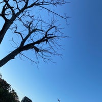 Photo taken at 多摩川河川敷[小杉側] by もひにぃ on 12/23/2023