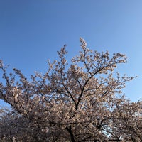 Photo taken at Asukayama Park by ryo1231 on 4/12/2024