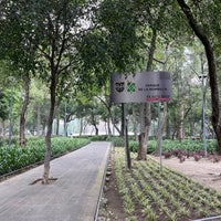 Photo taken at Parque de La Bombilla by Marco C. on 8/27/2022