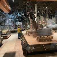 Anniston Museum Of Natural History 4 Tips