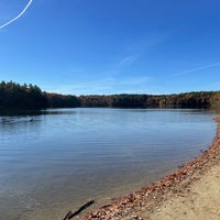Photo taken at Walden Pond State Reservation by Eric N. on 10/30/2022