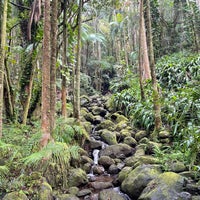 Photo taken at Hawaii Tropical Botanical Garden by Eric N. on 3/29/2024