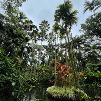 3/29/2024にEric N.がHawaii Tropical Botanical Gardenで撮った写真