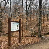 Photo prise au Reedy Creek Nature Center par Eric N. le1/8/2023