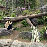 Photo taken at Ueno Zoo by Kir6y on 4/6/2024