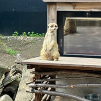 4/30/2024にKir6yが上野動物園で撮った写真