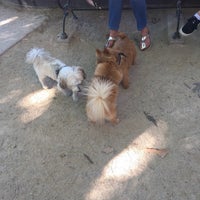 Photo taken at Robin Kovary Run for Small Dogs by Amit S. on 7/7/2018