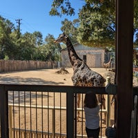 Photo taken at Sacramento Zoo by Lyubko S. on 9/13/2023