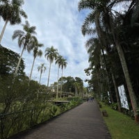 Photo taken at Botanical Garden of São Paulo by André B. on 8/1/2021