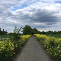 Photo taken at Přírodní park Košíře-Motol by Ondřej B. on 5/25/2017